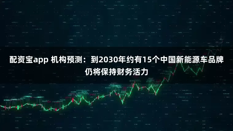 配资宝app 机构预测：到2030年约有15个中国新能源车品牌仍将保持财务活力