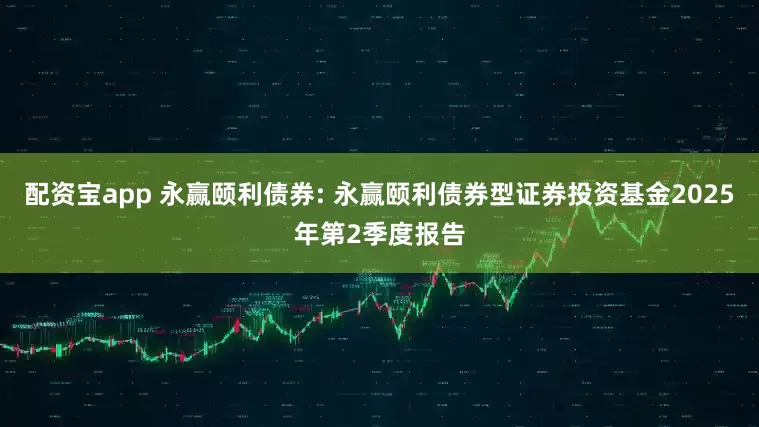 配资宝app 永赢颐利债券: 永赢颐利债券型证券投资基金2025年第2季度报告